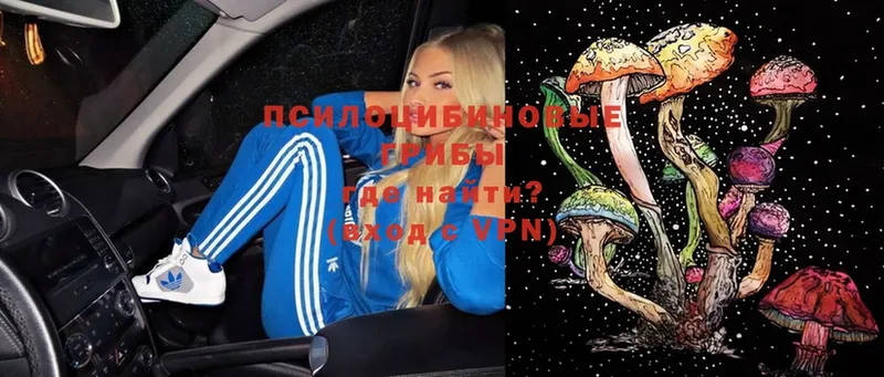 OMG ссылки  Вязьма  Псилоцибиновые грибы мухоморы 