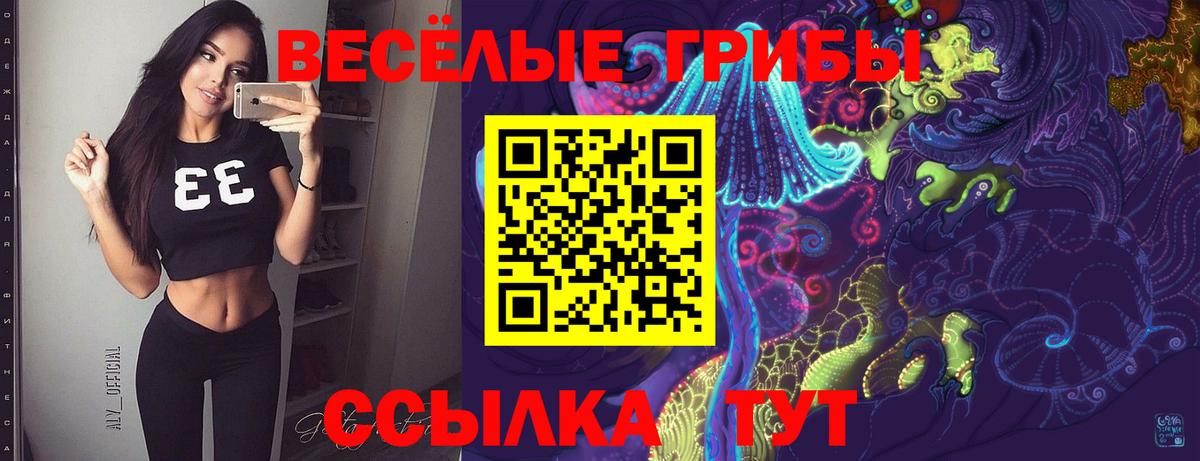 Вязьма  Псилоцибиновые грибы мухоморы  Вход с VPN 