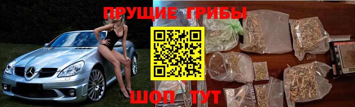 Псилоцибиновые грибы MAGIC MUSHROOMS Вязьма